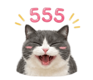 856930381