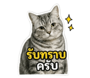 856930400
