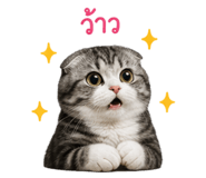 856930546