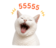 856930547