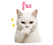 856930567