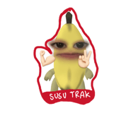 856930605