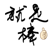 856931666