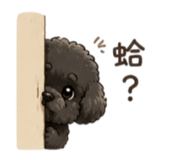 856931709