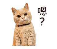 856932380