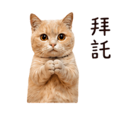 856932386