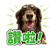 856933013