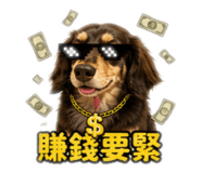 856933046
