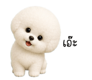 856935998