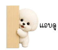 856936001