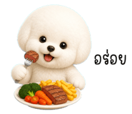 856936008