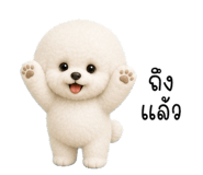 856936020