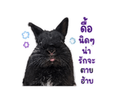 856936513