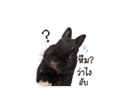856936535