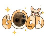 856937518