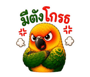 856937842