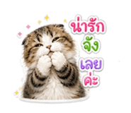 856938344