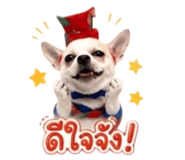 856938824