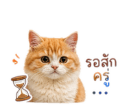 856939128
