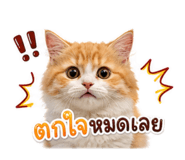 856939133