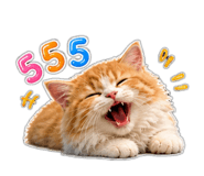 856939137