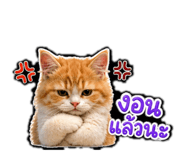 856939143