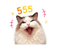 856939162