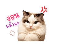 856939165