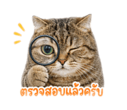 856939196