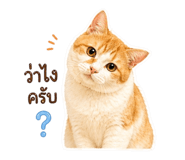 856939318