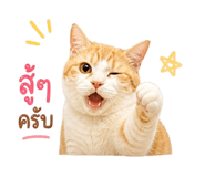 856939330