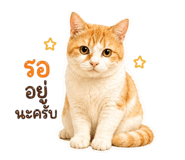856939345