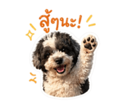 856939371