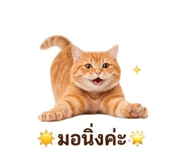 856939393