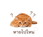 856939397