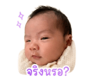 856939405