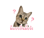 856939458