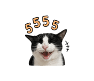 856939675