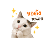 856939678