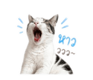 856939865