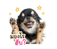 856939899