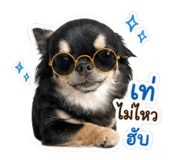 856939902