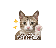 856939985