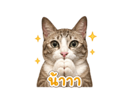 856939988