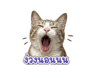 856939992