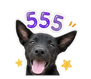 856940682