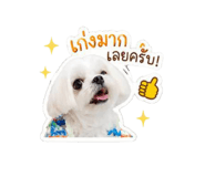 856940900