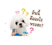 856940901