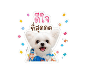 856940904