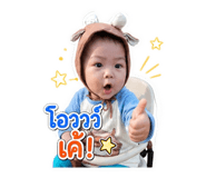 856941133